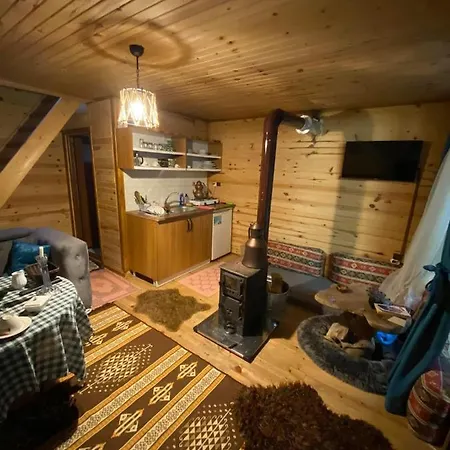 Hamsikoy Bugalov & Tiny Hause