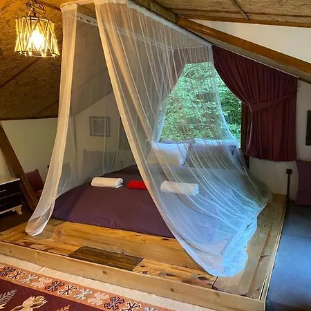 Hamsikoy Bugalov & Tiny Hause Lodge Trabzon