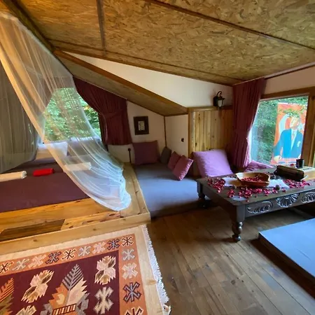 Hamsikoy Bugalov & Tiny Hause Lodge *