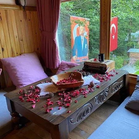 Hamsikoy Bugalov & Tiny Hause Lodge